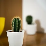 Apartamento Denim Nîmes