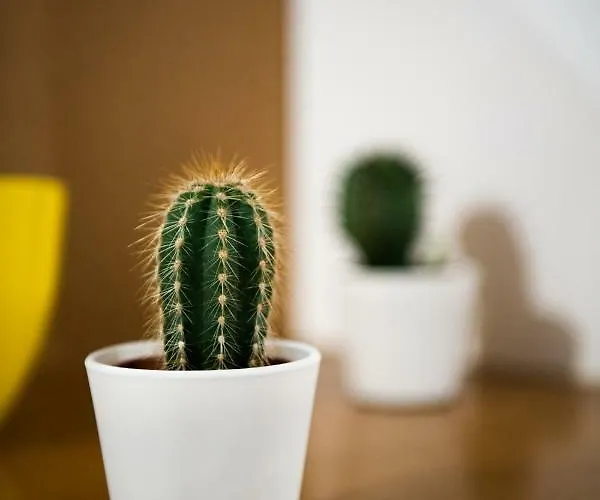 Appartamento Denim Nîmes